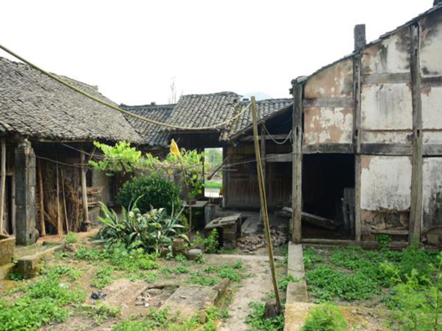 圖片1.jpg 圖片1.jpg